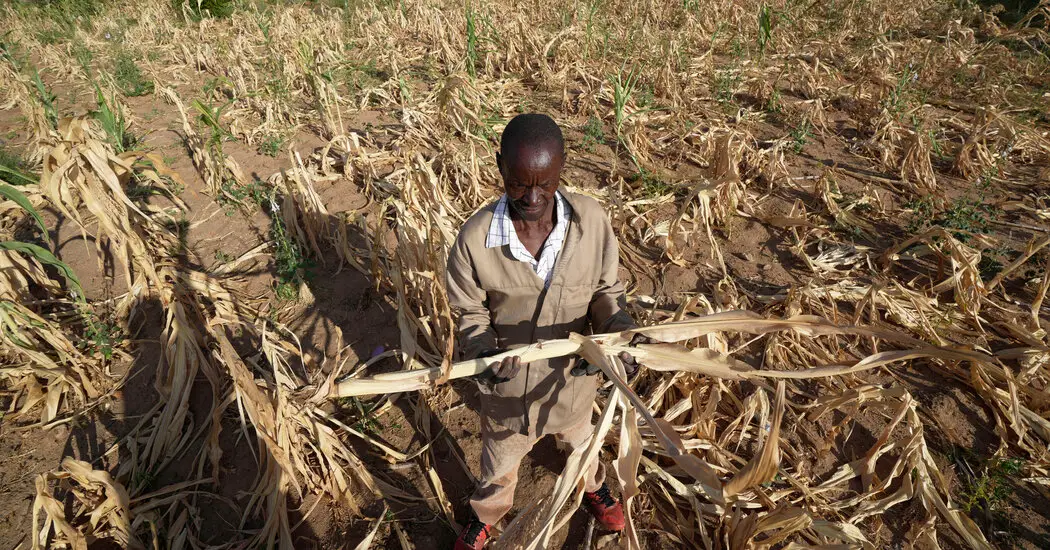 Drought Pushes Millions Into ‘Acute Hunger’ in Southern Africa