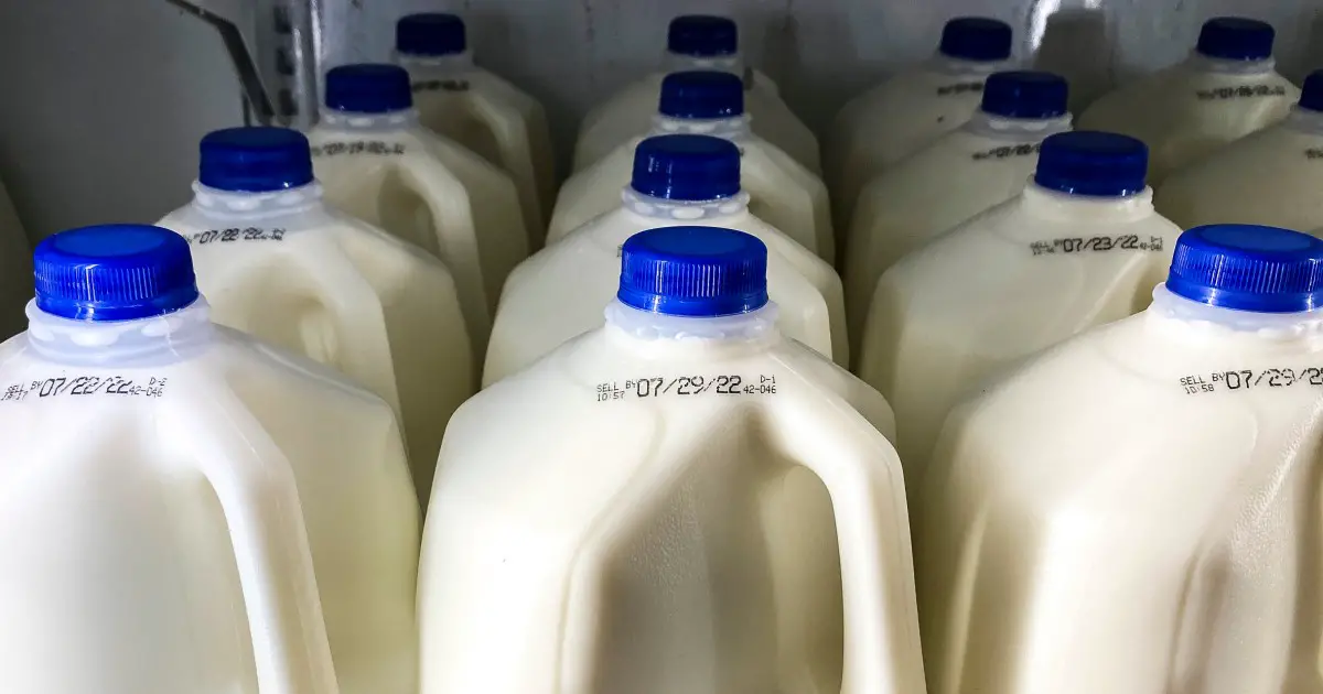 1 in 5 samples of pasteurized milk contained virus fragments, FDA finds