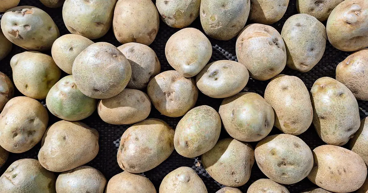 The 1 Vegetable You Should NEVER Store Next To Potatoes