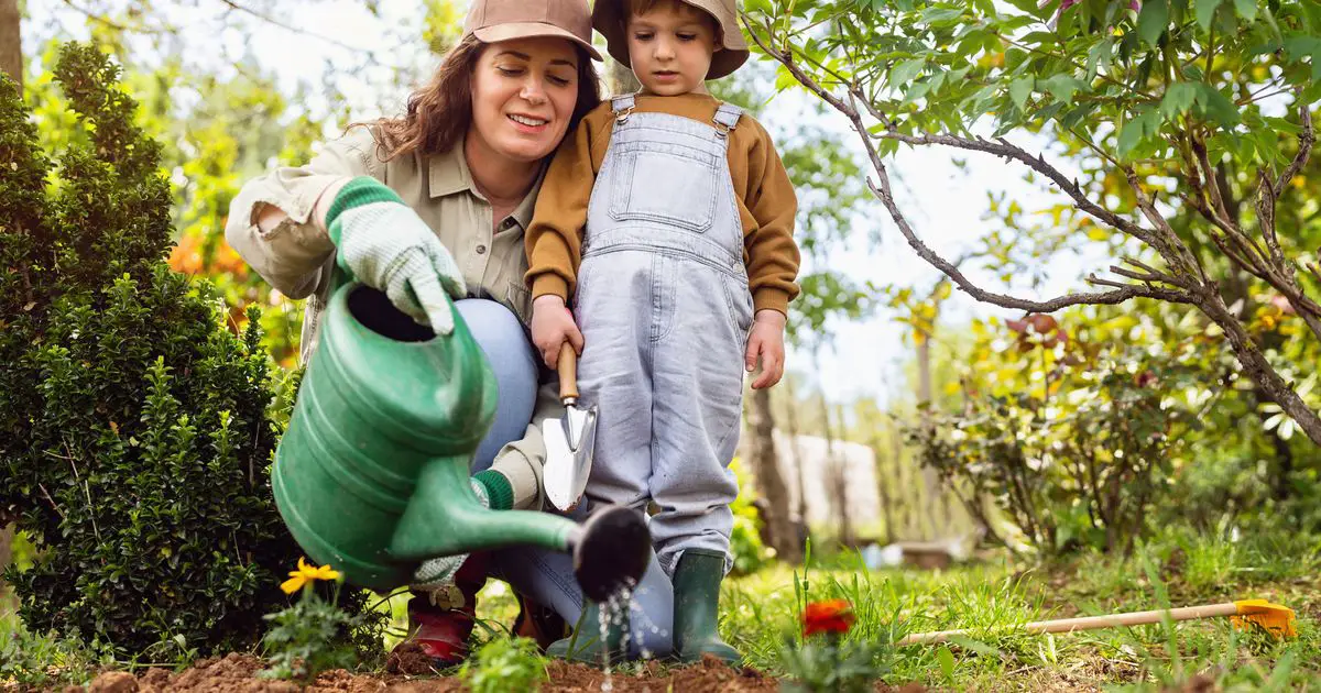 UK Gardeners Warned About This Watering Mistake Which Could Ruin Plants