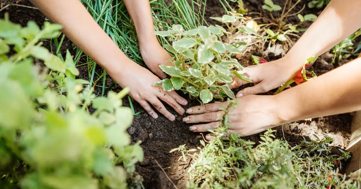 UK Gardeners Advised To Check For 1 Sign Before Spring Clean Up