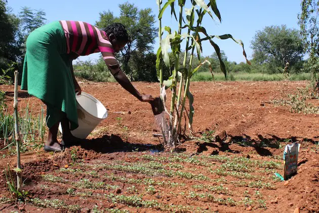 Women Affected by Gender-Biased Climate Change Deserve Justice — Global Issues