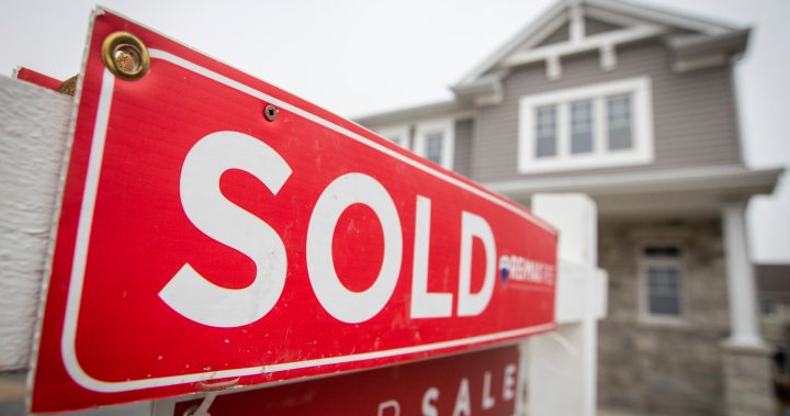 Does Budget 2024 make it easier to buy a first home in Canada? – National