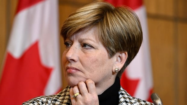 Liberal and NDP MPs lament departure of longtime Tory MP as status of women chair