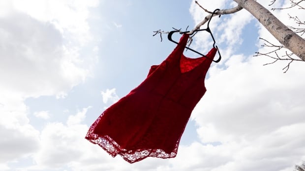 Opposition MPs disappointed by federal budget’s progress on red dress alert system