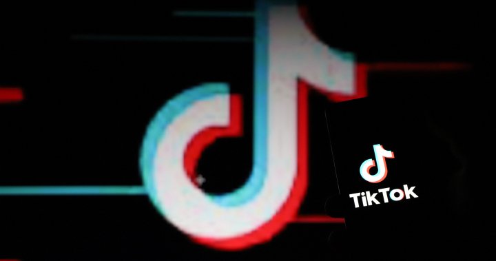 TikTok vows to sue over potential U.S. ban. What’s the legal outlook? – National