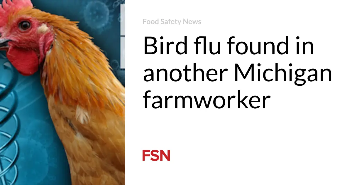 Bird flu found in another Michigan farmworker