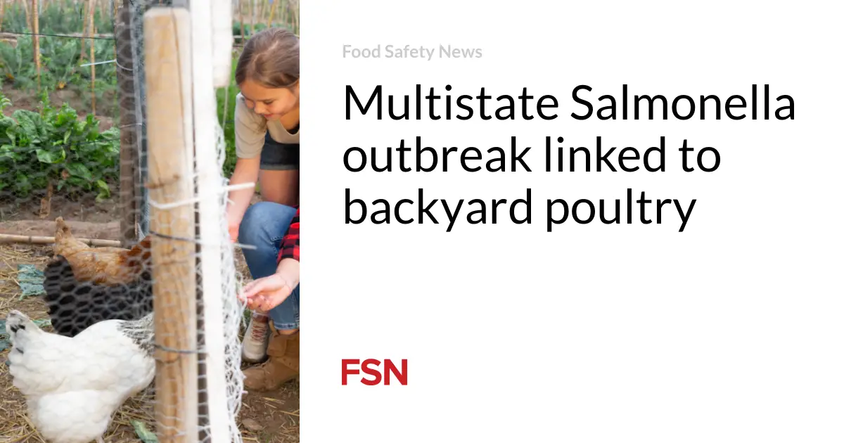 Multistate Salmonella outbreak linked to backyard poultry