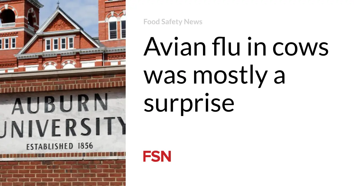 Avian flu in cows was mostly a surprise