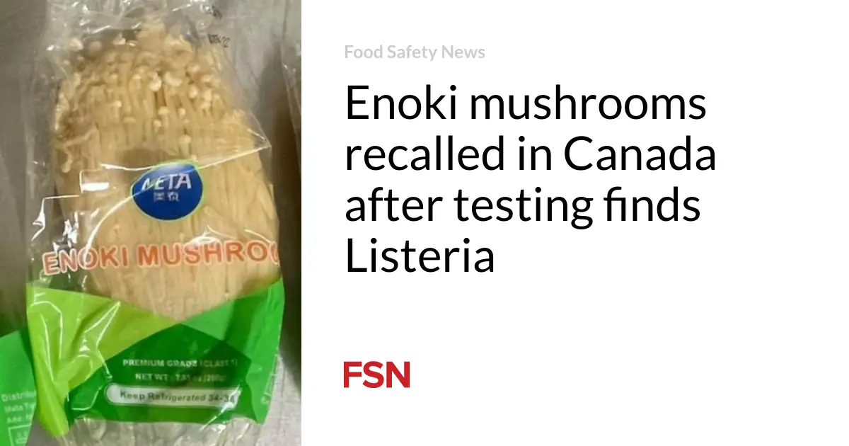 Enoki mushrooms recalled in Canada after testing finds Listeria