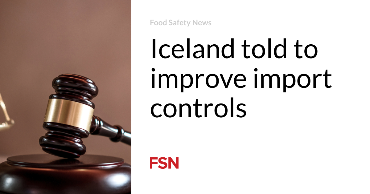 Iceland told to improve import controls