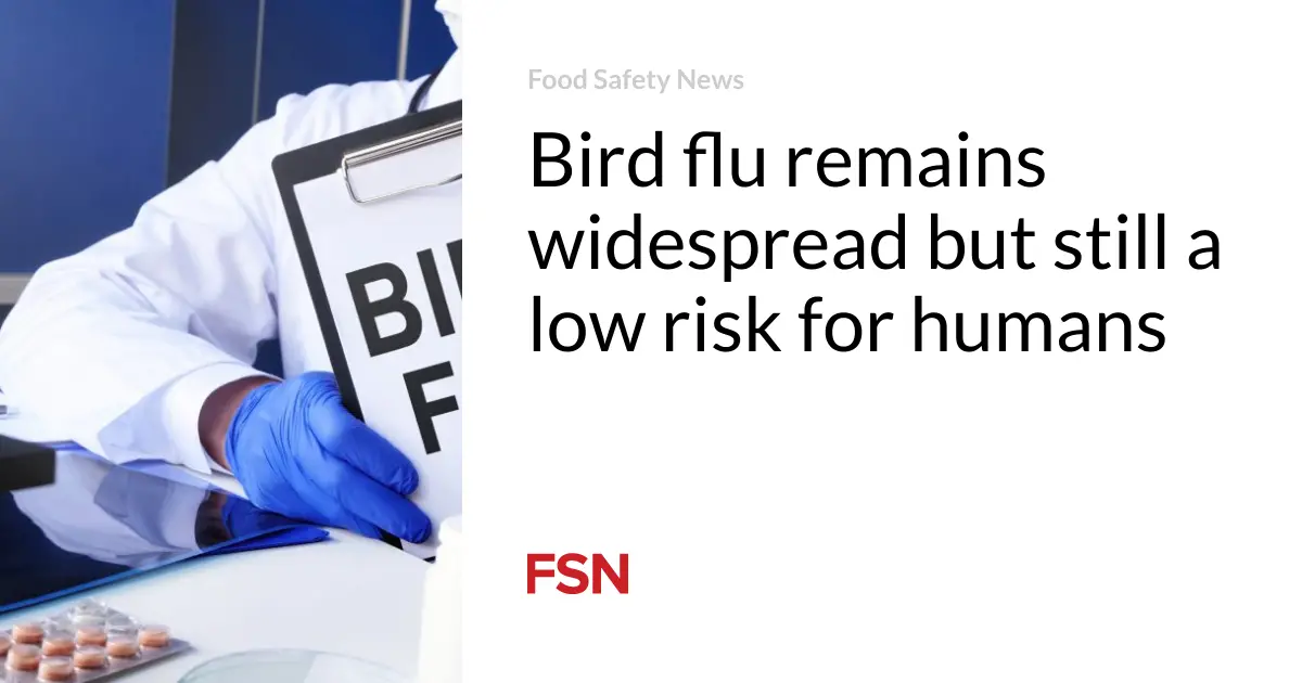 Bird flu remains widespread but still a low risk for humans