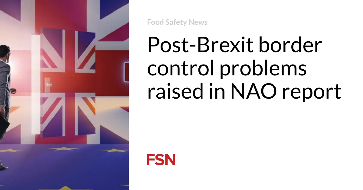 Post-Brexit border control problems raised in NAO report