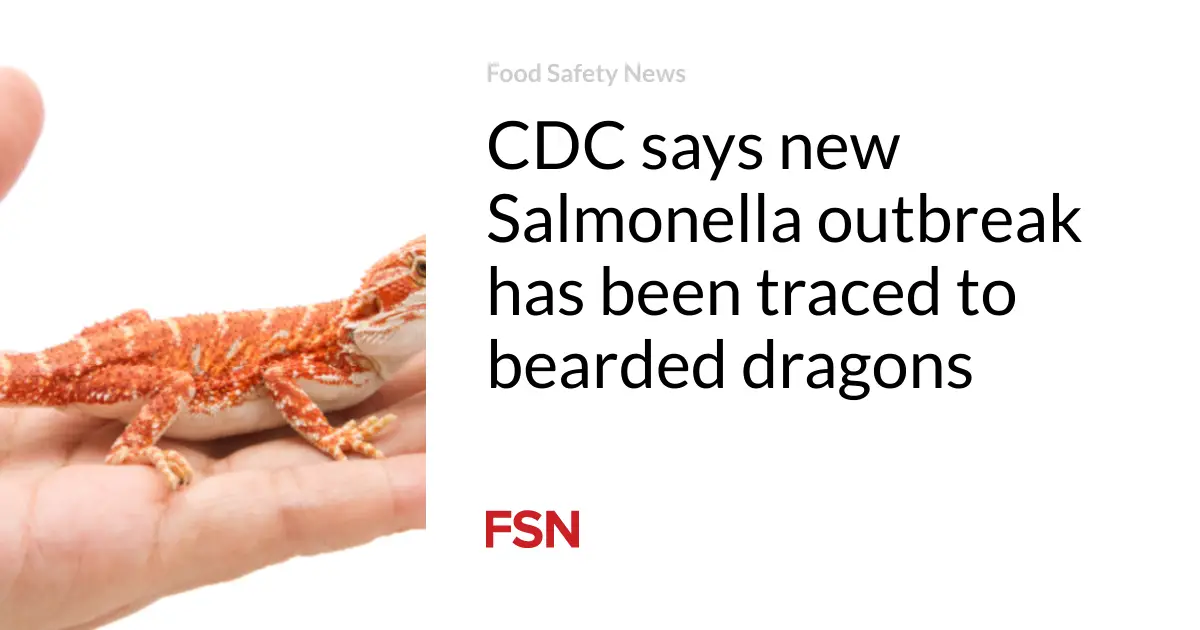 CDC says new Salmonella outbreak has been traced to bearded dragons