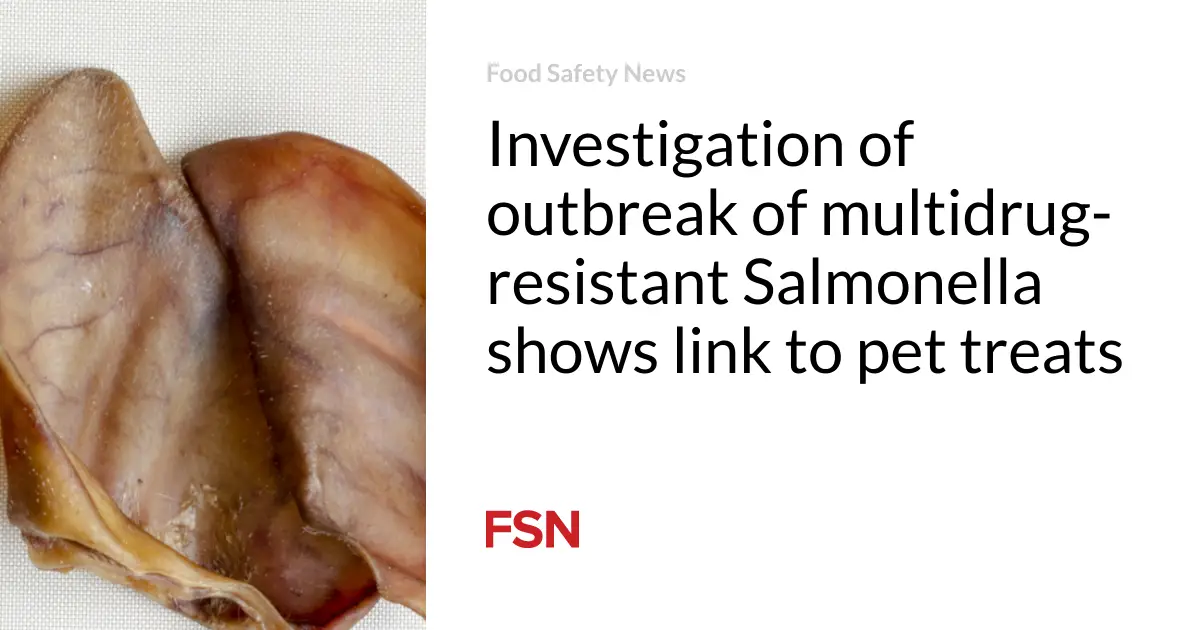 Investigation of outbreak of multidrug-resistant Salmonella shows link to pet treats