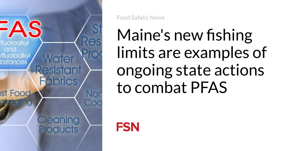 Maine’s new fishing limits are examples of ongoing state actions to combat PFAS