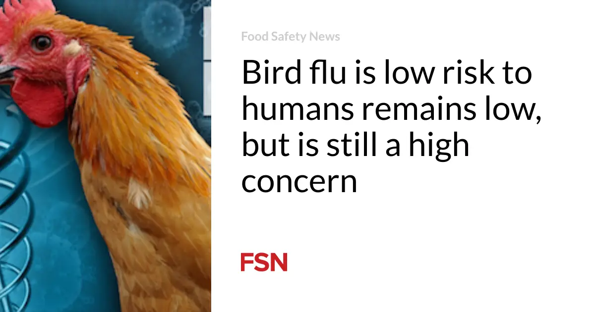 Bird flu is low risk to humans remains low, but is still a high concern