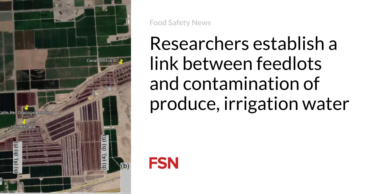 Researchers establish a link between feedlots and contamination of produce, irrigation water