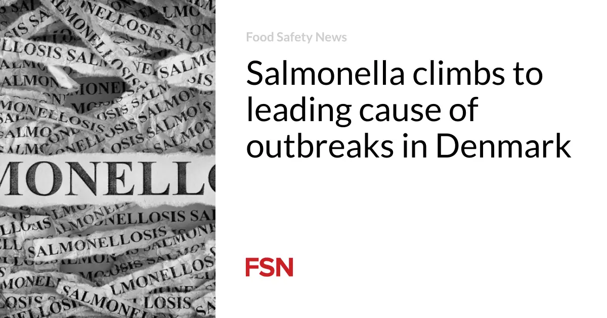 Salmonella climbs to leading cause of outbreaks in Denmark