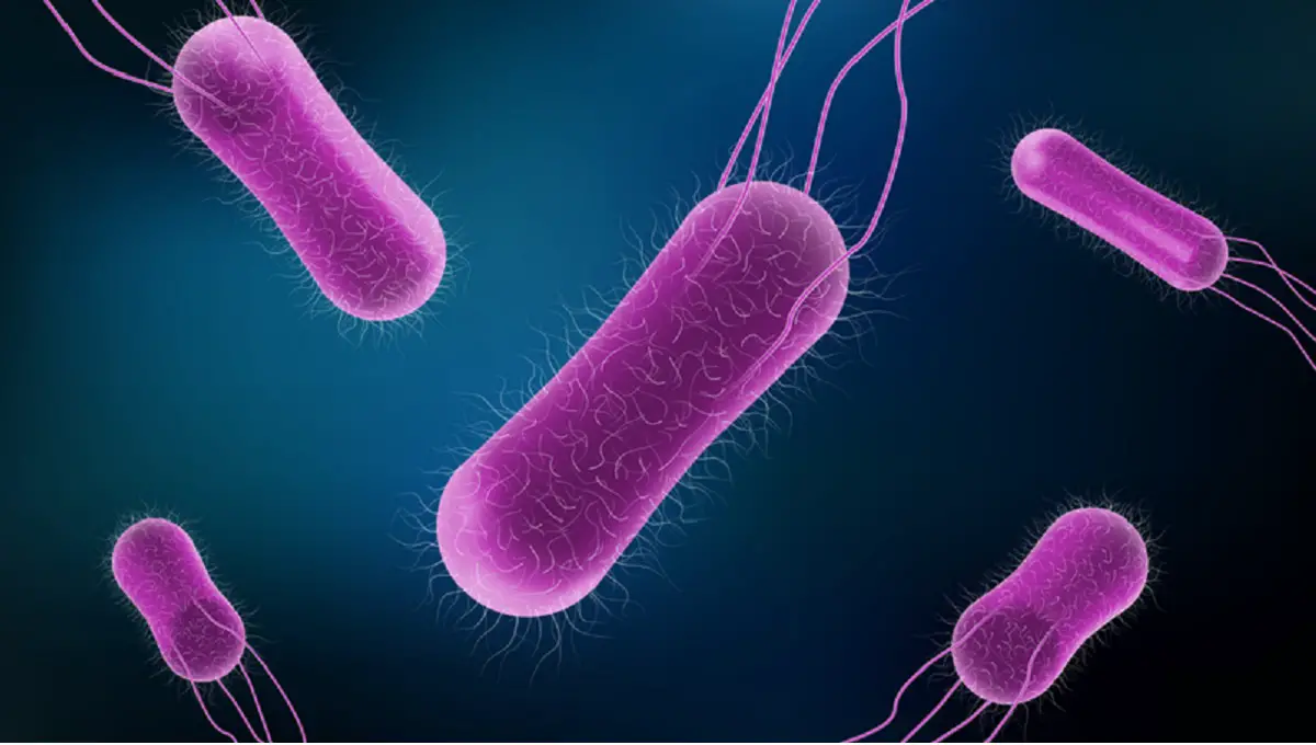 Publisher’s Platform: A primer on Salmonella