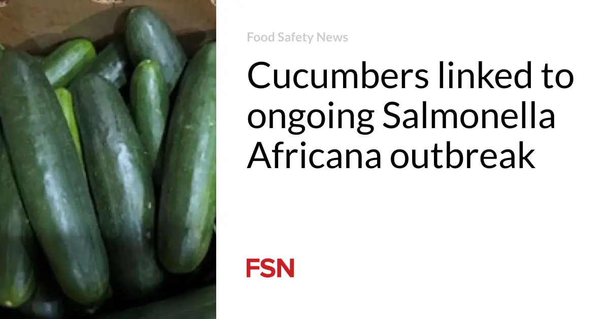 Cucumbers linked to ongoing Salmonella Africana outbreak