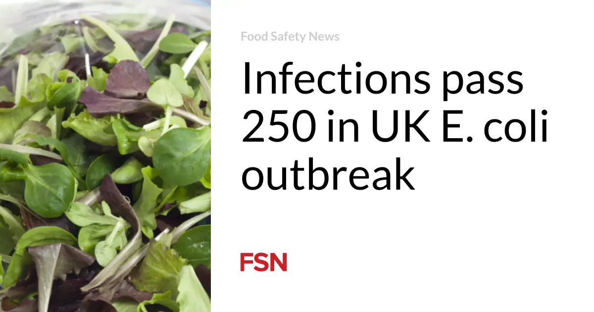 Infections pass 250 in UK E. coli outbreak