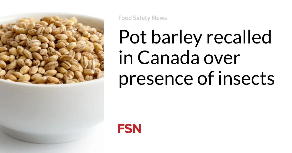 Pot barley recalled in Canada over presence of insects