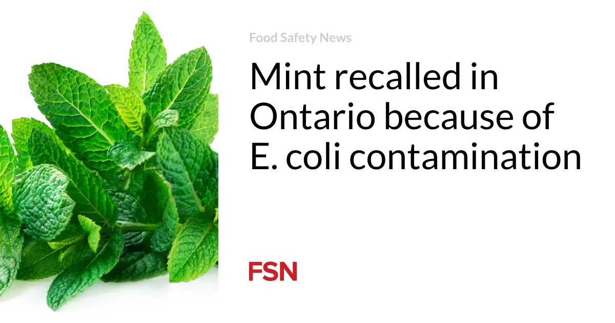 Mint recalled in Ontario because of E. coli contamination