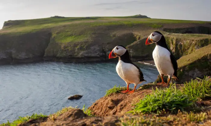 ‘I rediscovered Pembrokeshire and fell back in love’: readers share their favourite memories of Welsh holidays | Holidays To Remember In Wales