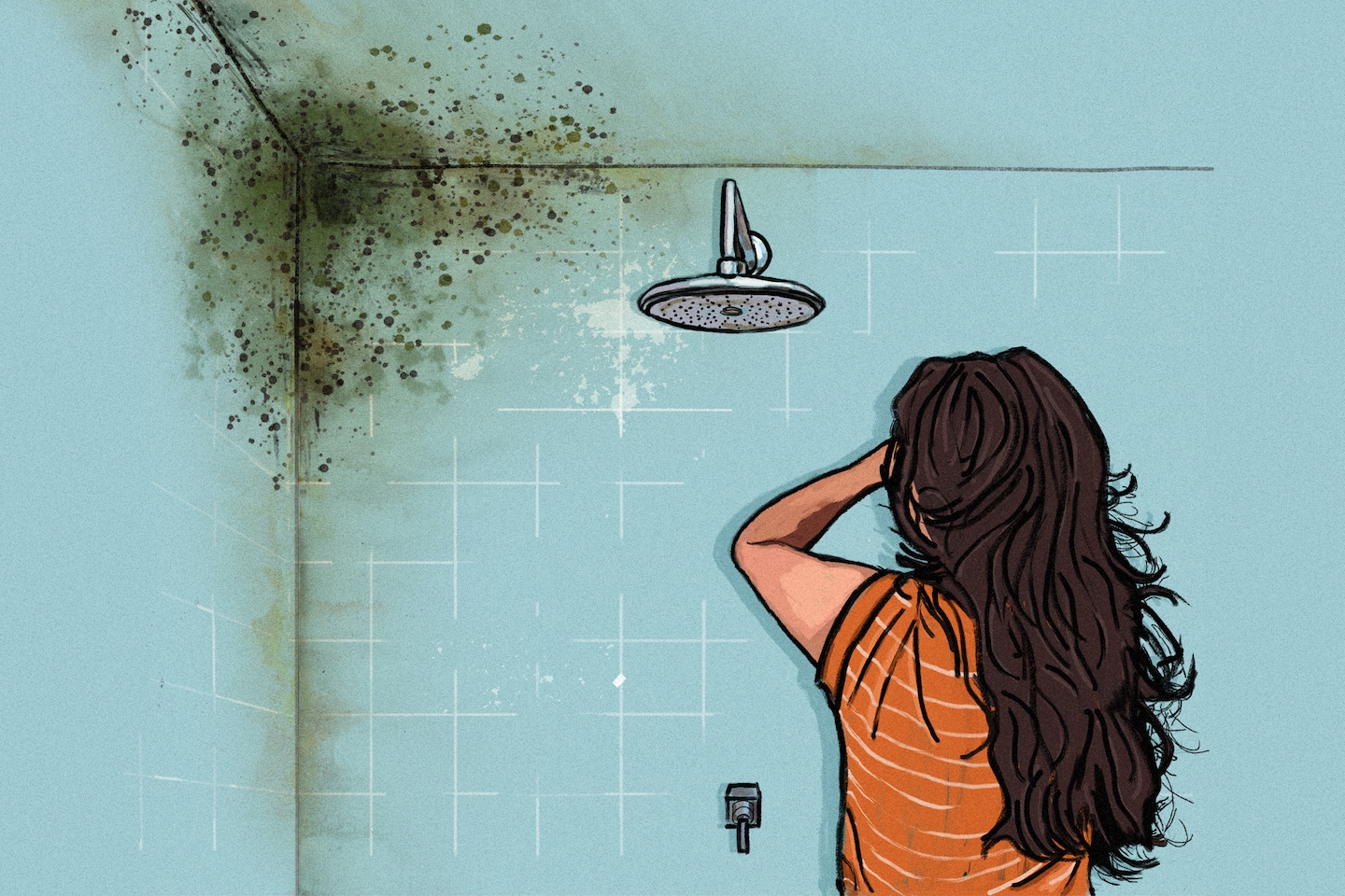 What to do if you find mold in your rental apartment