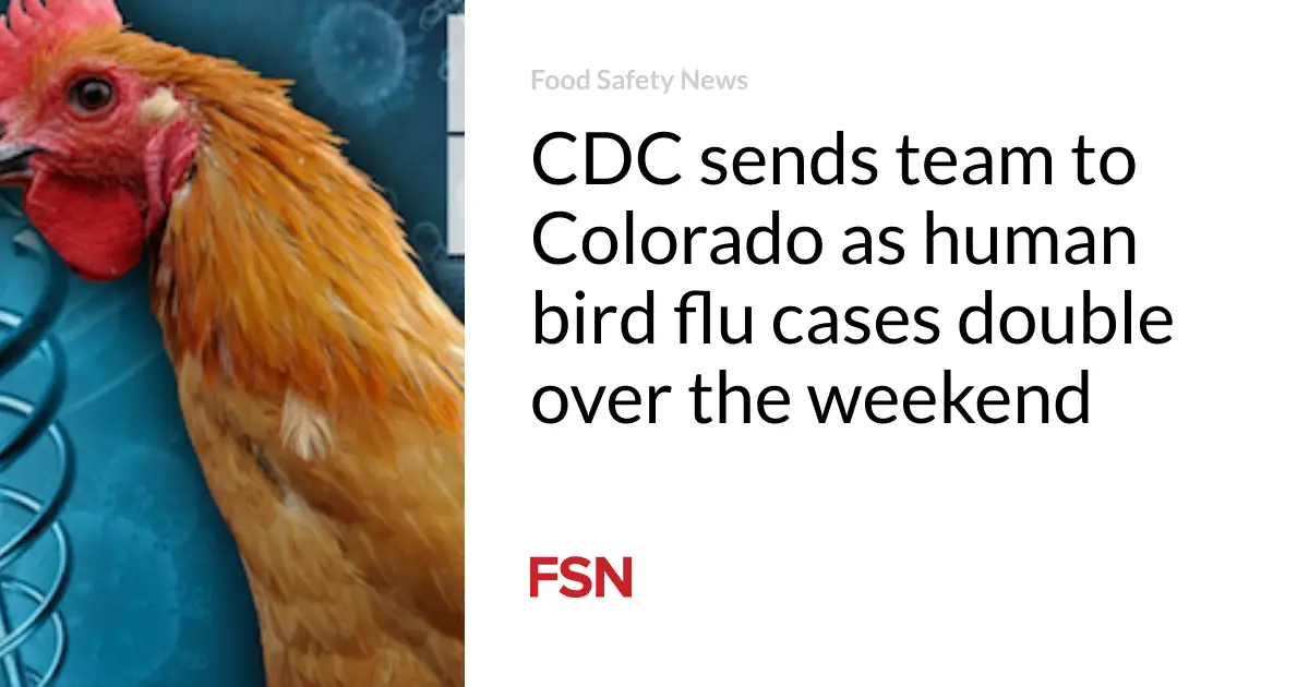 CDC sends team to Colorado as human bird flu cases double over the weekend