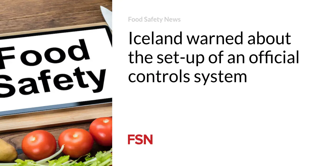 Iceland warned about the set-up of an official controls system