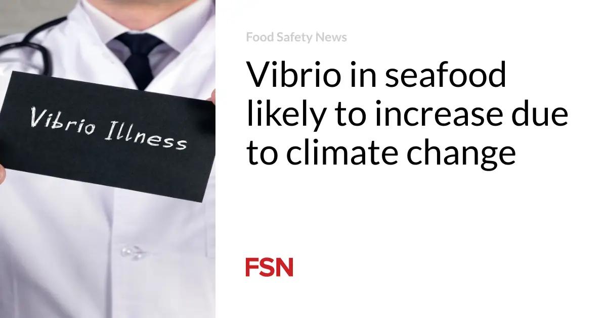 Vibrio in seafood likely to increase due to climate change