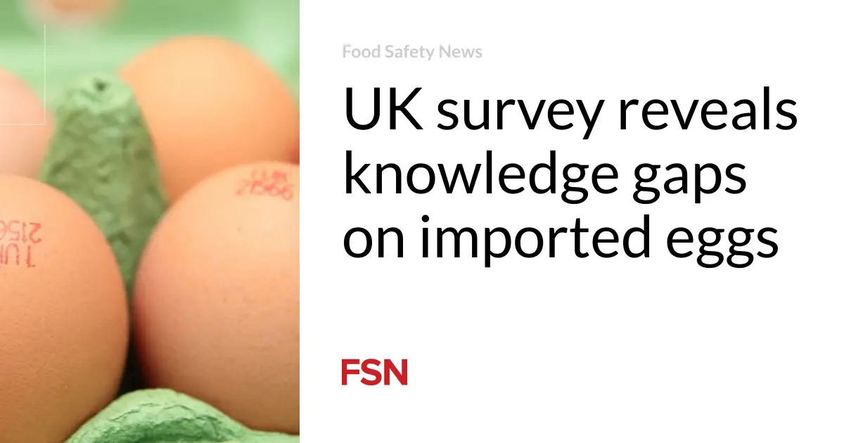 UK survey reveals knowledge gaps on imported eggs