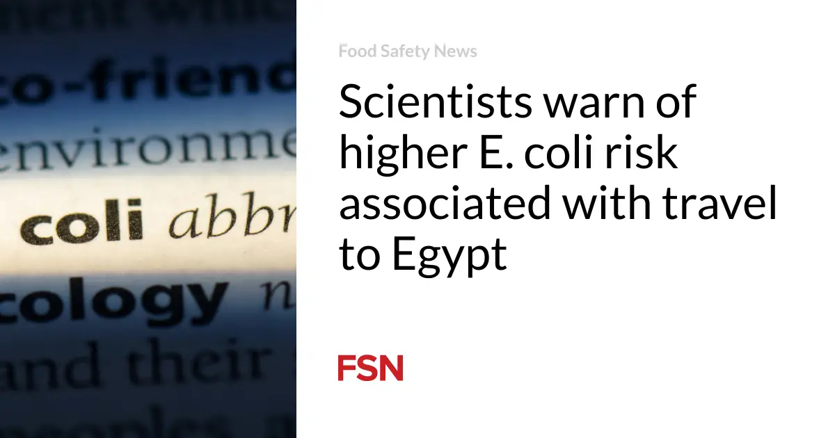 Scientists warn of higher E. coli risk associated with travel to Egypt