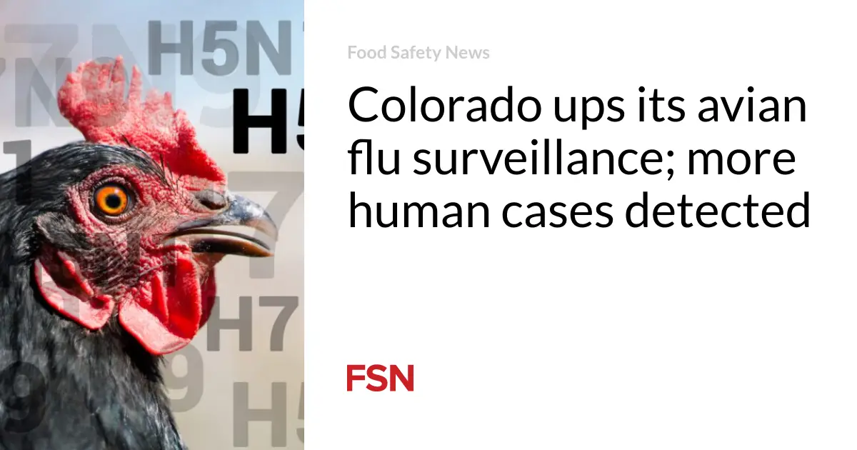 Colorado ups its avian flu surveillance; more human cases detected