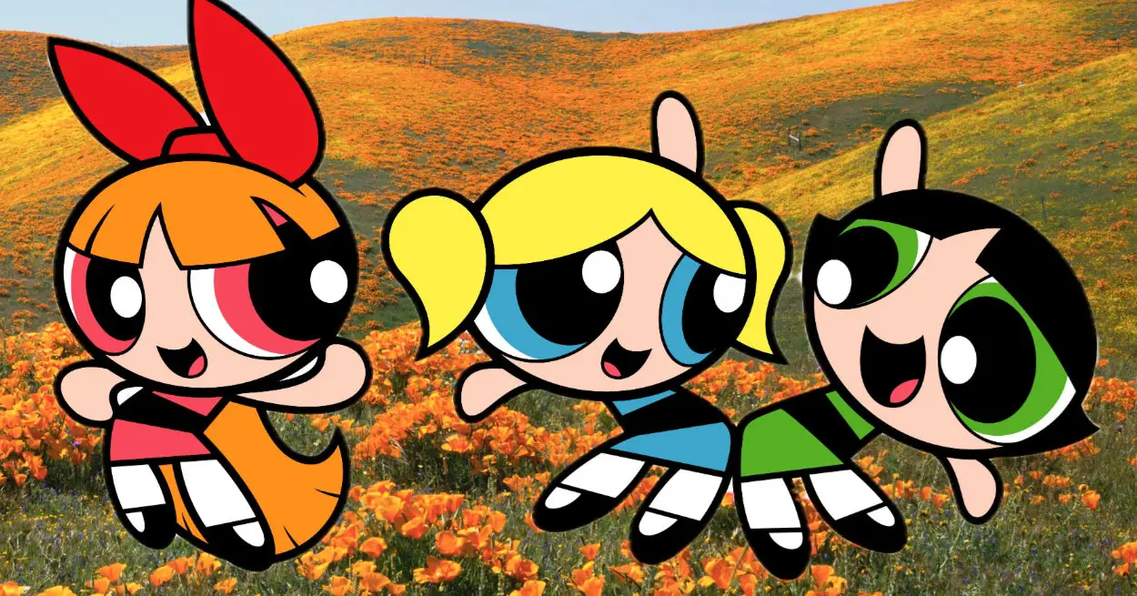 Which "Powerpuff Girl" Are You?