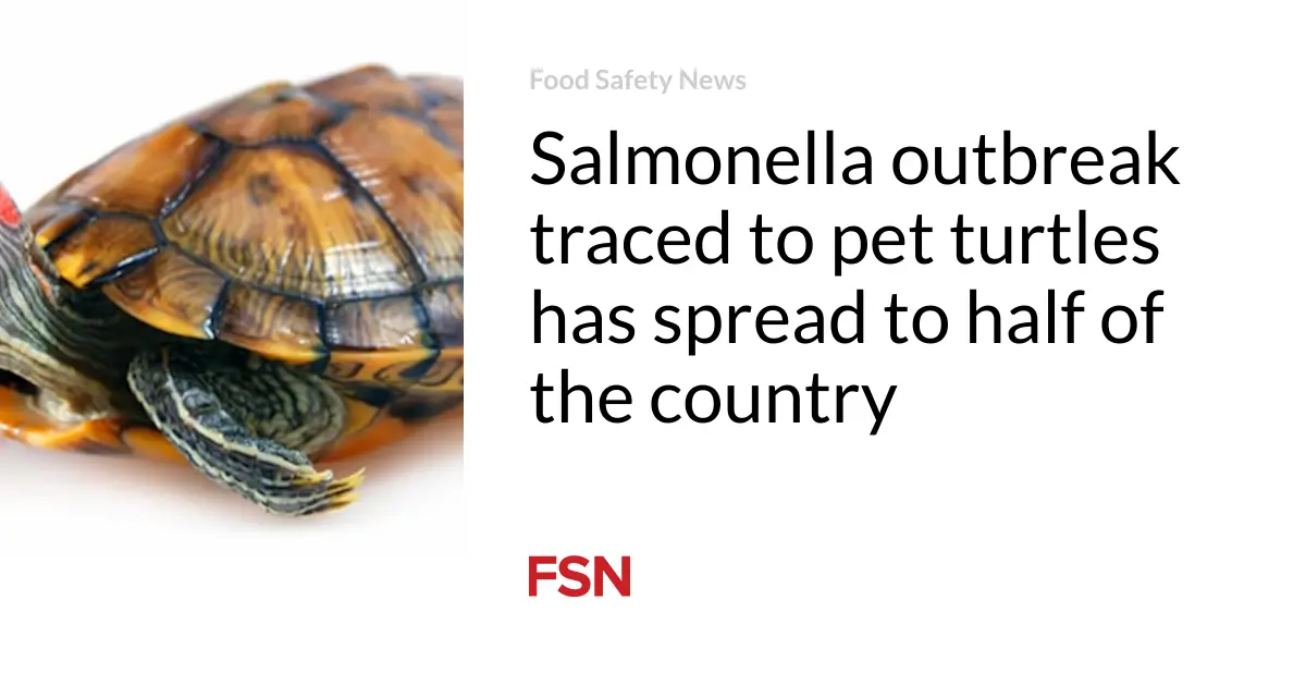 Salmonella outbreak traced to pet turtles has spread to half of the country