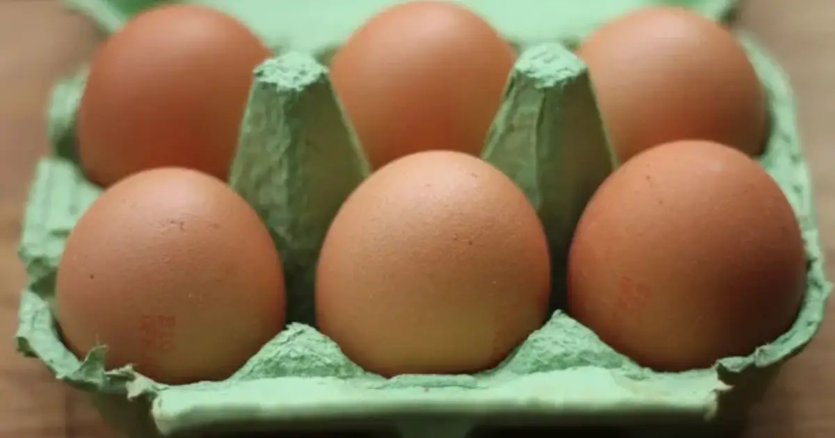 So THAT’s What The Stamps On Eggs Really Mean