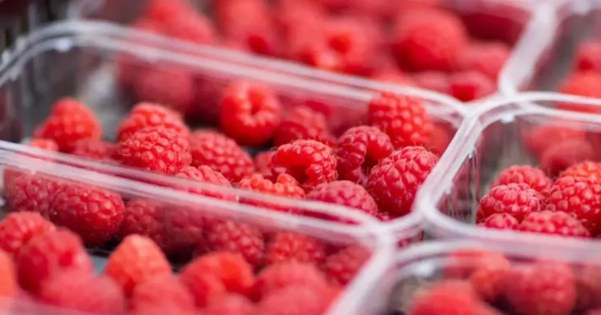 Martha Stewart’s Berry-Washing Trick Keeps Them Fresh Longer