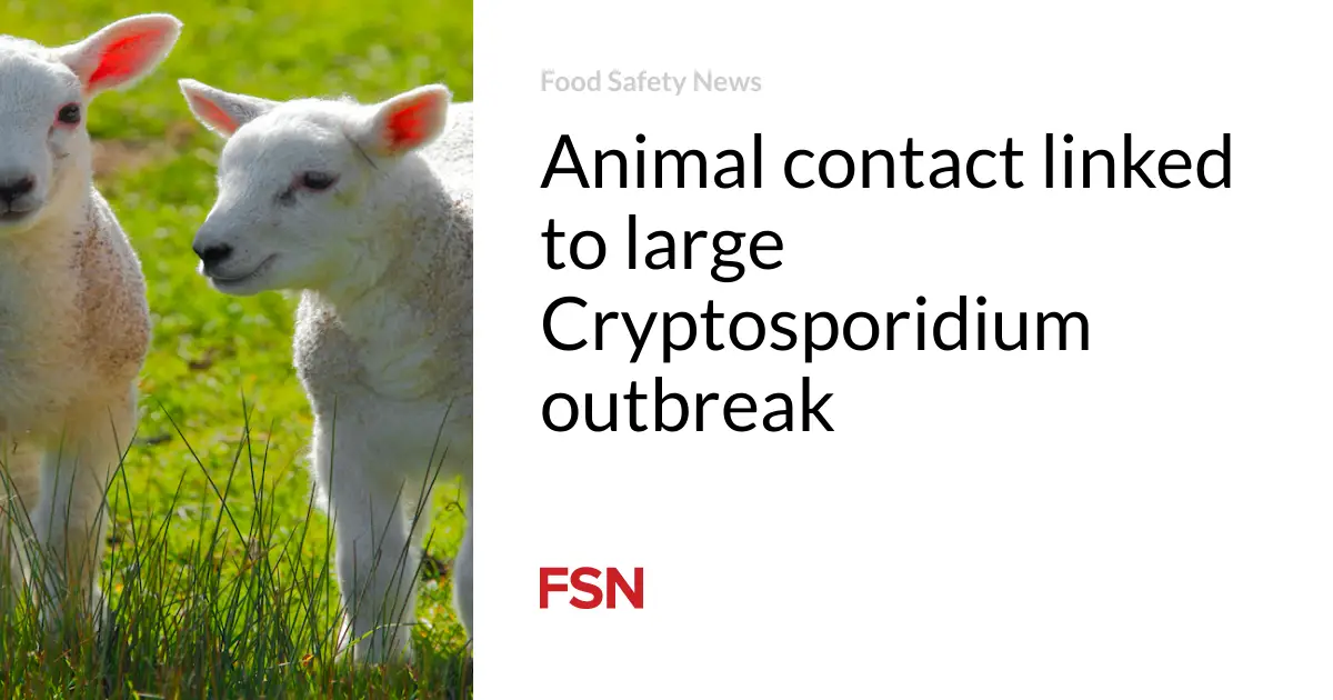 Animal contact linked to large Cryptosporidium outbreak