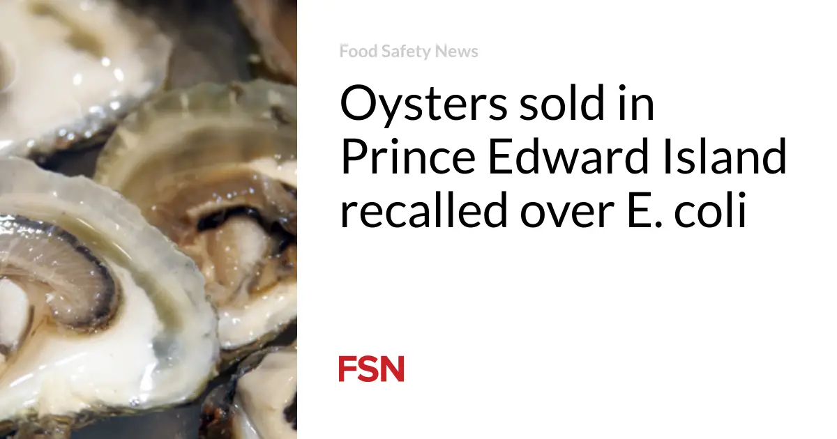 Oysters sold in Prince Edward Island recalled over E. coli