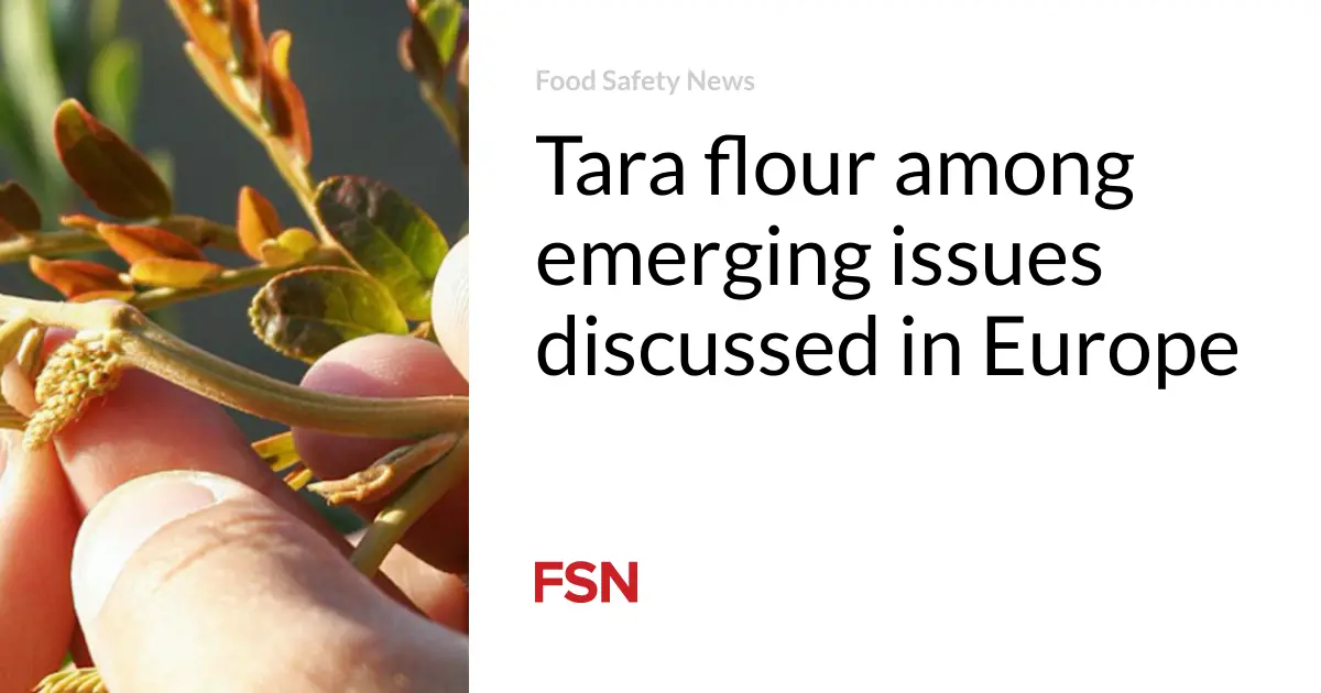 Tara flour among emerging issues discussed in Europe