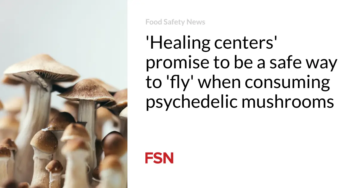 ‘Healing centers’ promise to be a safe way to ‘fly’ when consuming psychedelic mushrooms