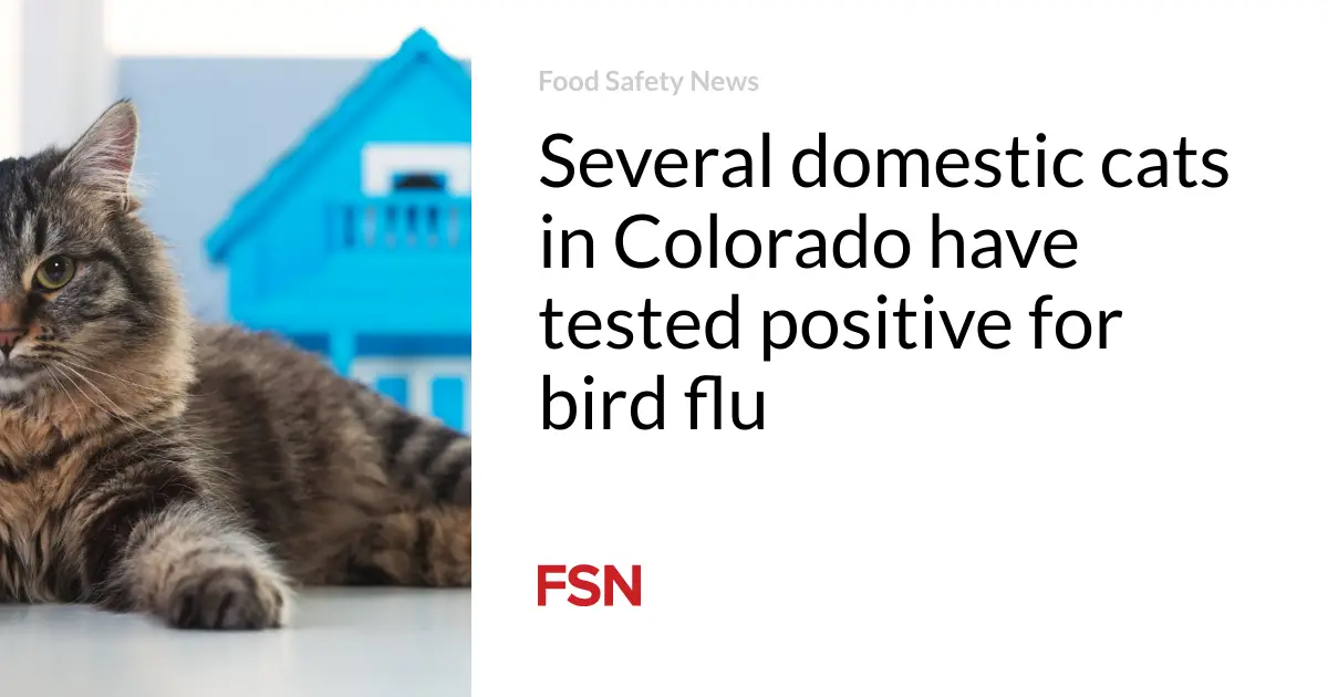 Several domestic cats in Colorado have tested positive for bird flu