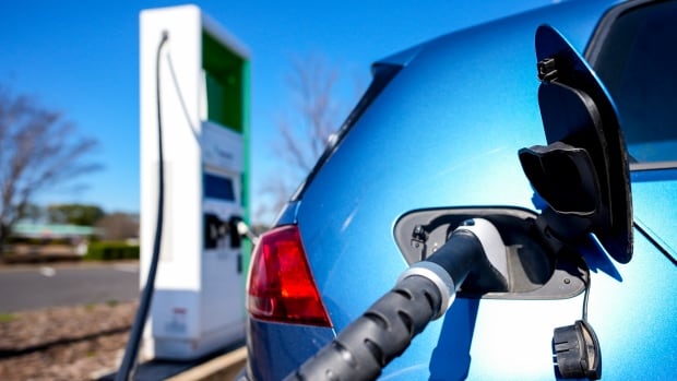 EVs cheaper to run but cost must come down to drive sales: PBO