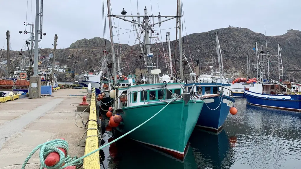 Newfoundland fishery temporarily paused as limit is reached