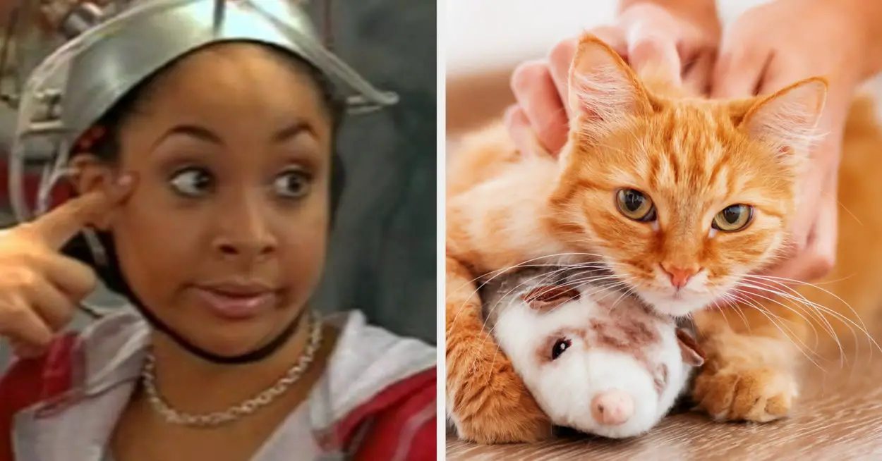 Throw A '00s TV Show Marathon And I'll Guess If You're A Dog Or Cat Person