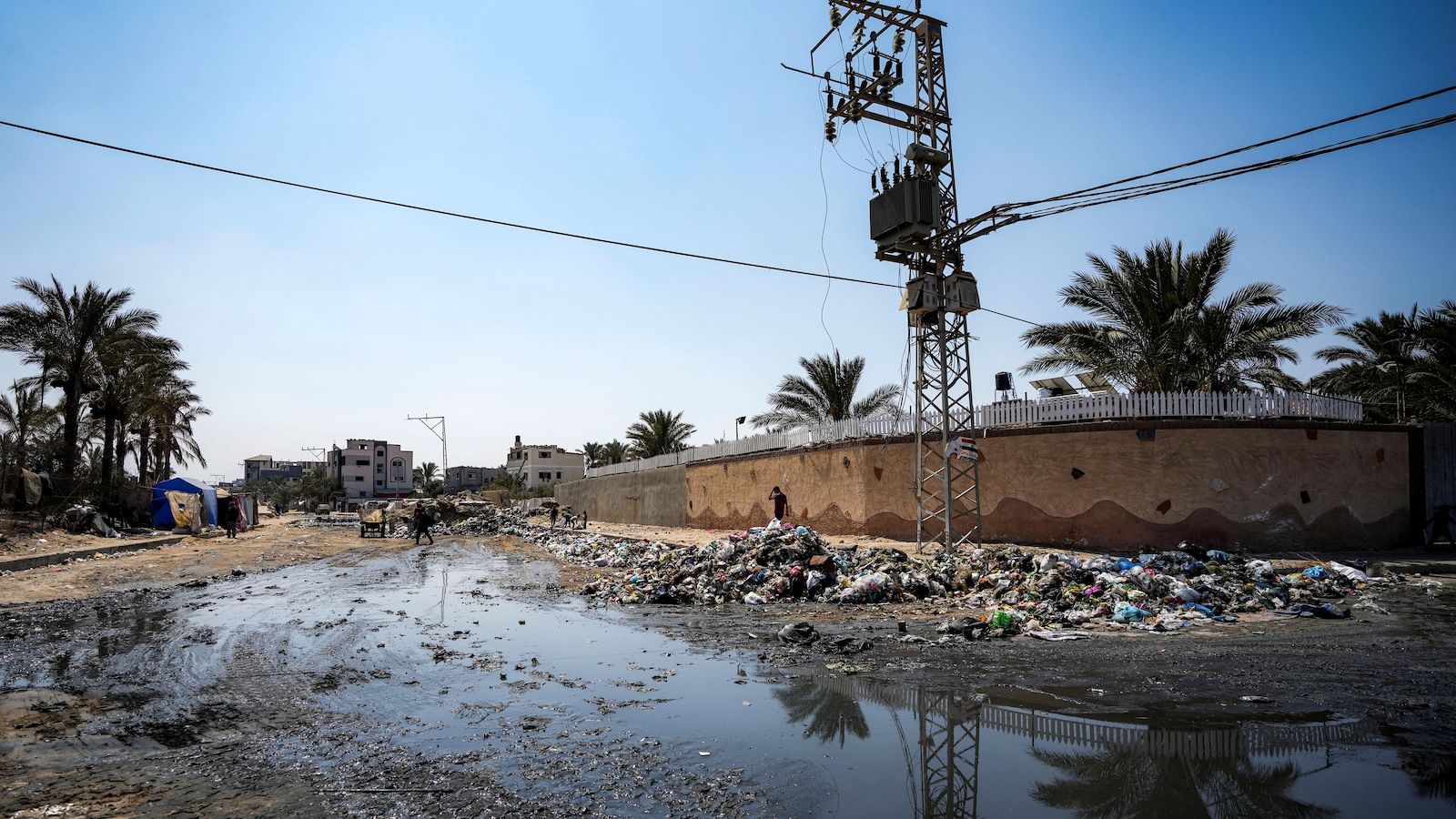 WHO announces limited pauses in Gaza fighting to allow for polio vaccinations