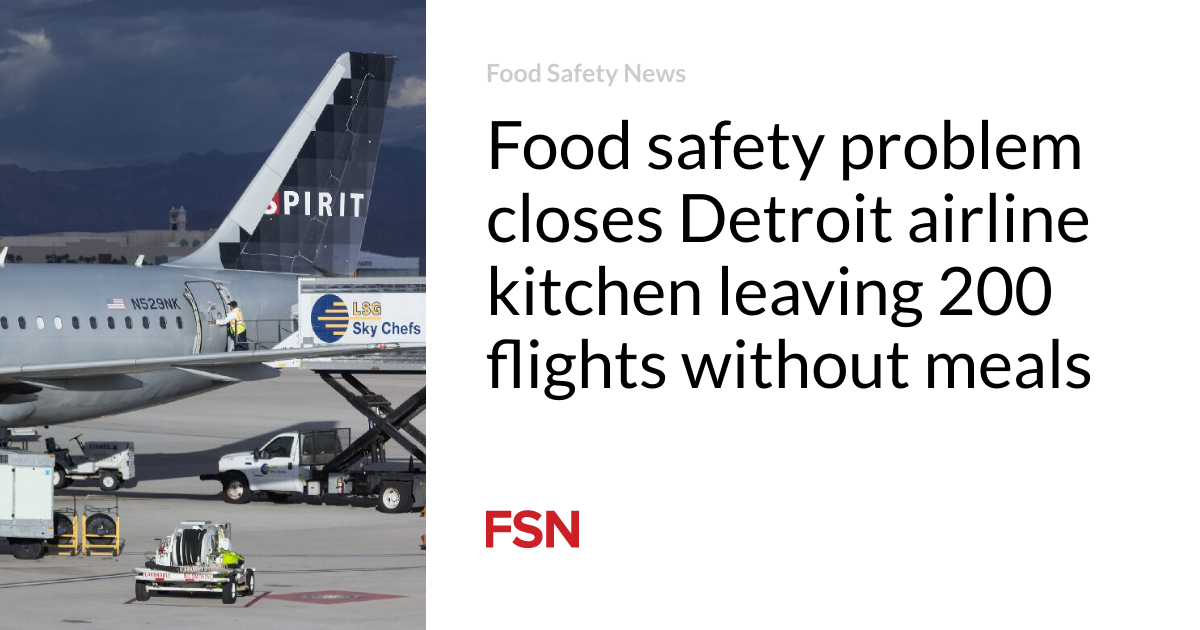 Food safety problem closes Detroit airline kitchen leaving 200 flights without meals